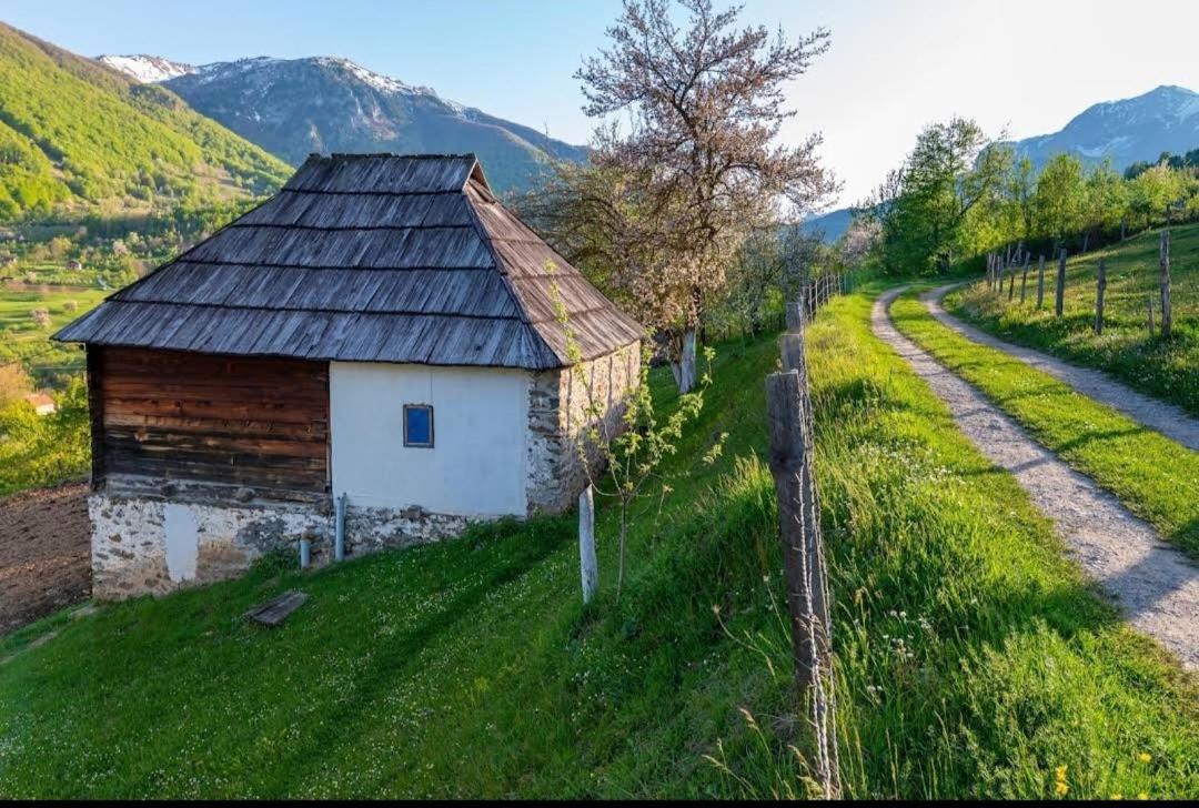 Household Babovic - Old House Miljan'S Valley Andrijevica Exteriér fotografie