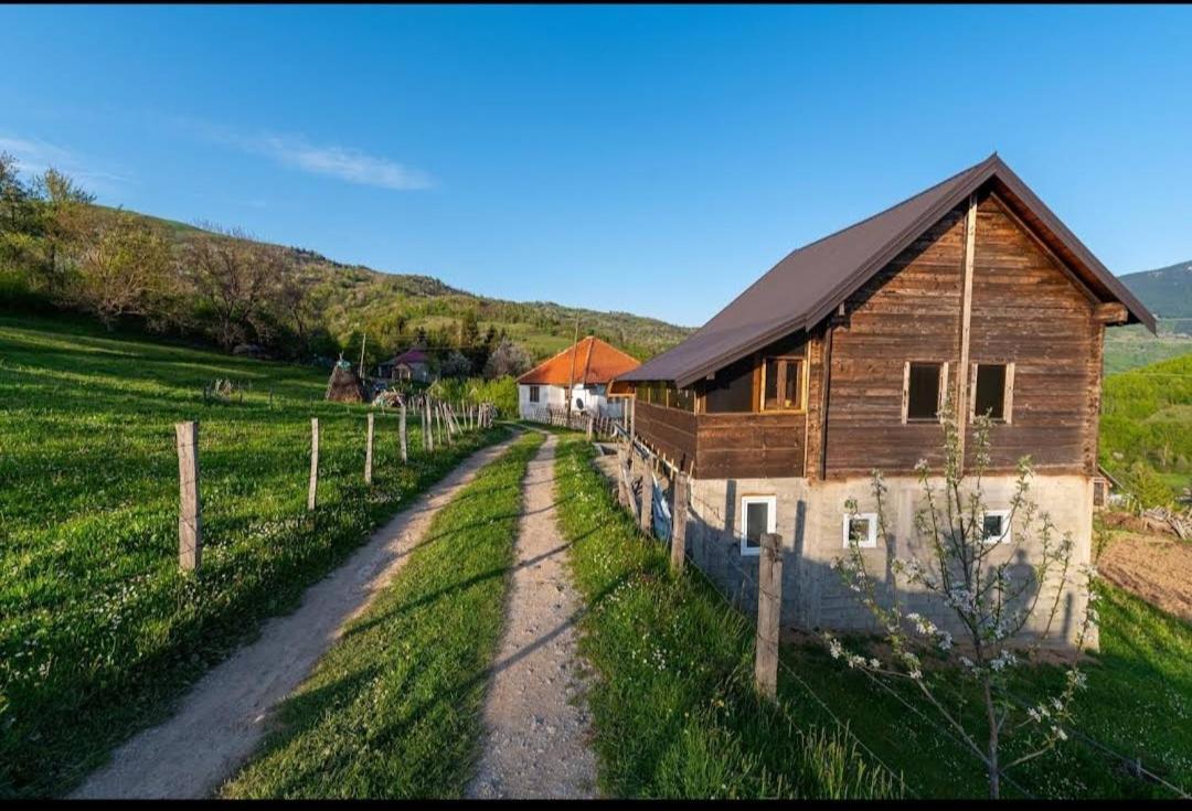 Household Babovic - Old House Miljan'S Valley Andrijevica Exteriér fotografie