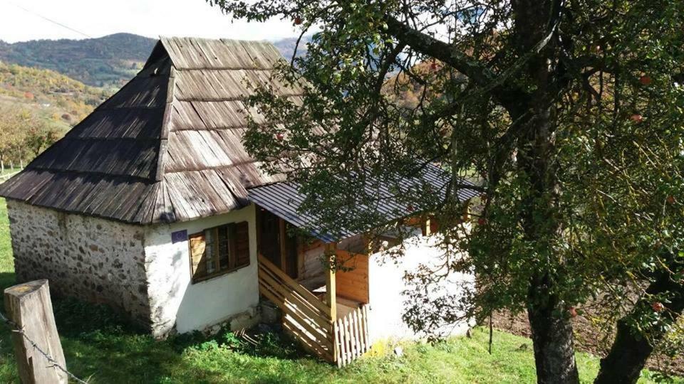 Household Babovic - Old House Miljan'S Valley Andrijevica Exteriér fotografie